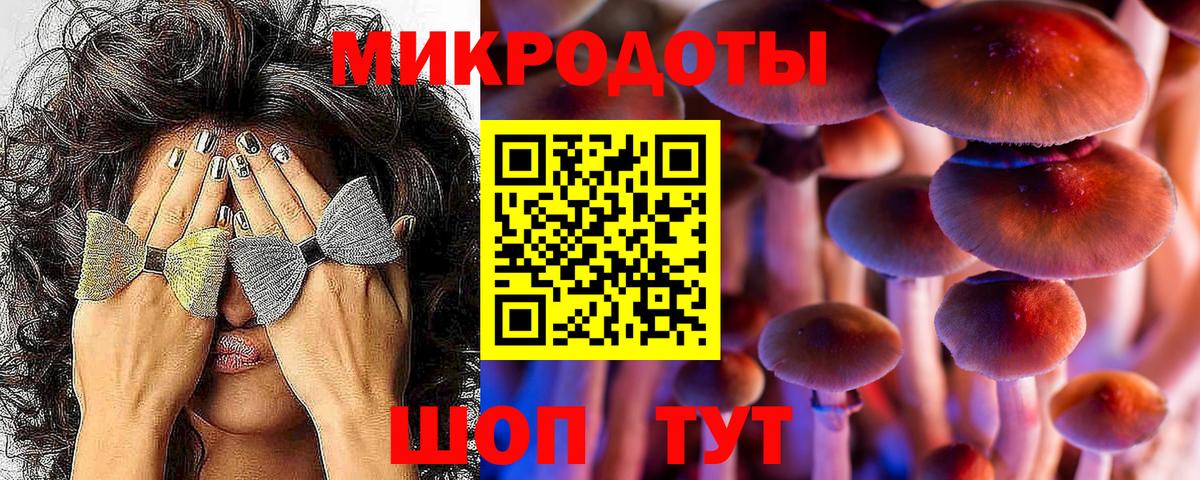 Абакан  Псилоцибиновые грибы Cubensis  Галлюциногенные грибы мицелий  Вход с VPN 